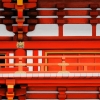 isoda_kumite.jpg