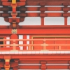 isoda_kumite.jpg